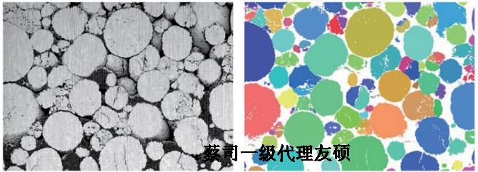 FIB双束福建扫描电镜crossbeam